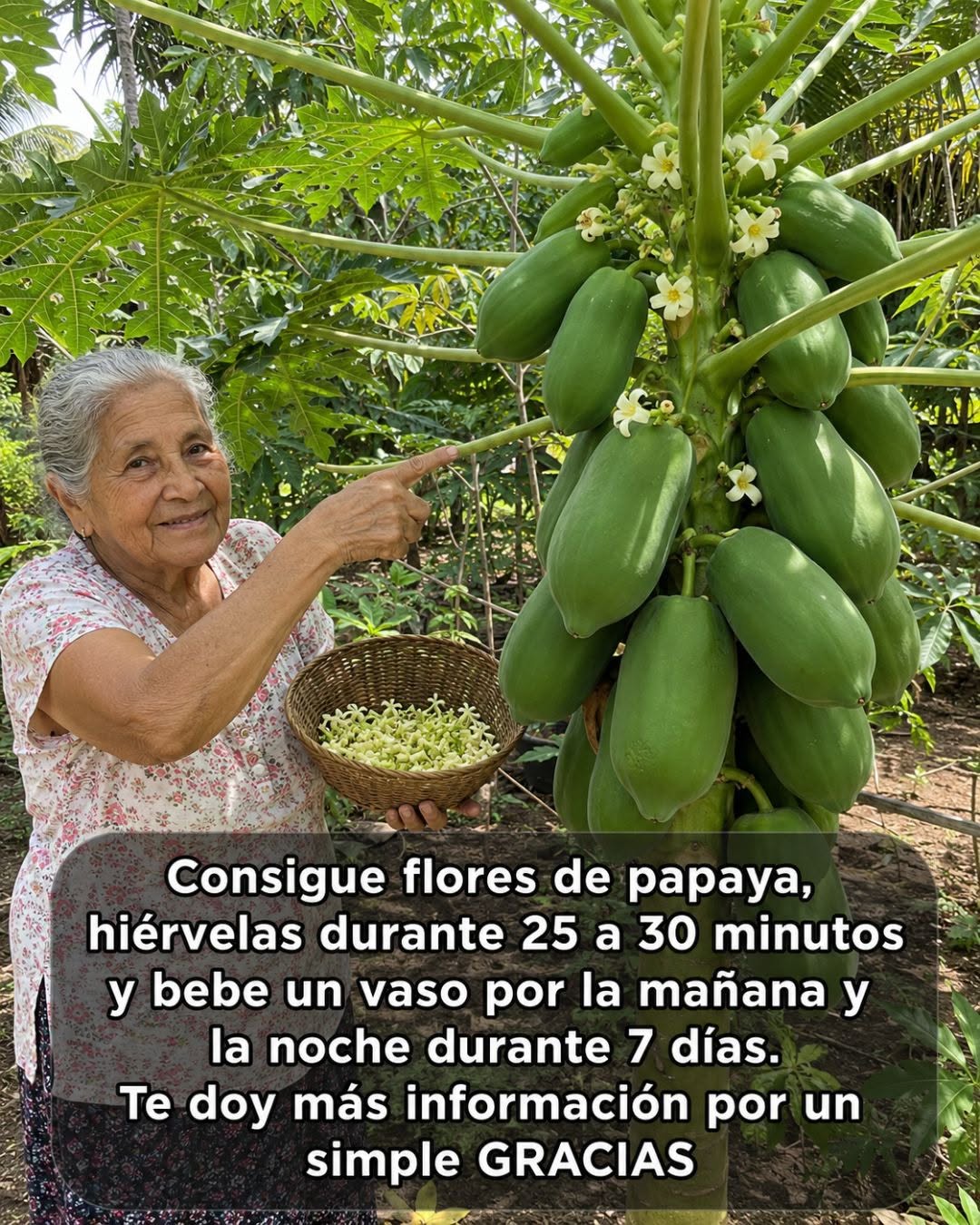 Flor de Papaya