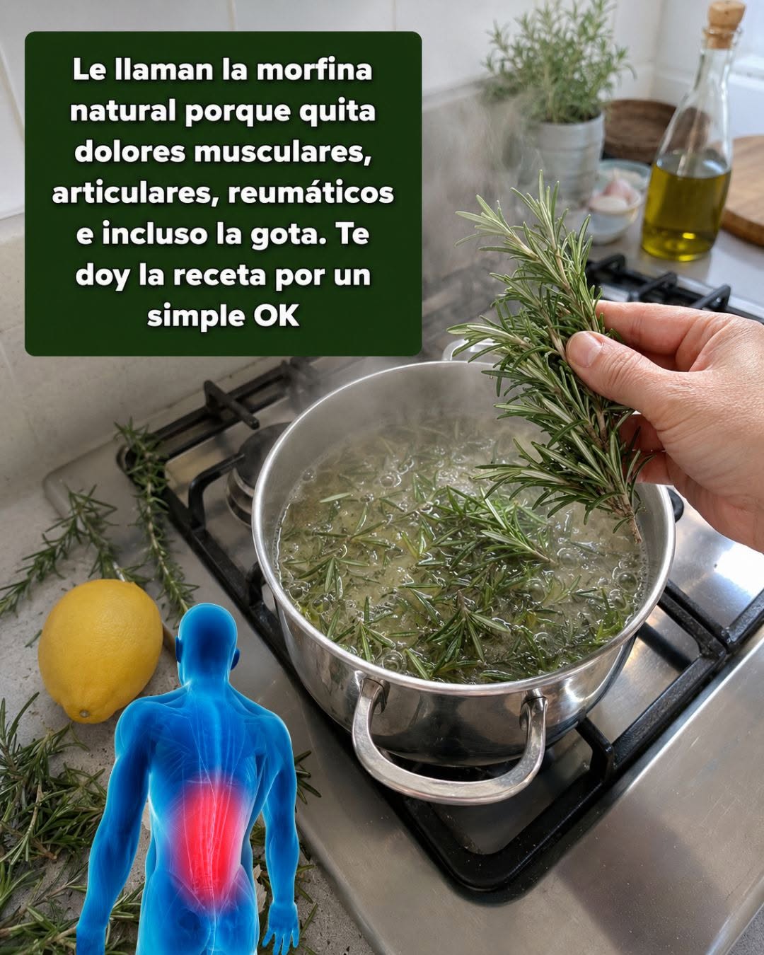Recetas de Romero