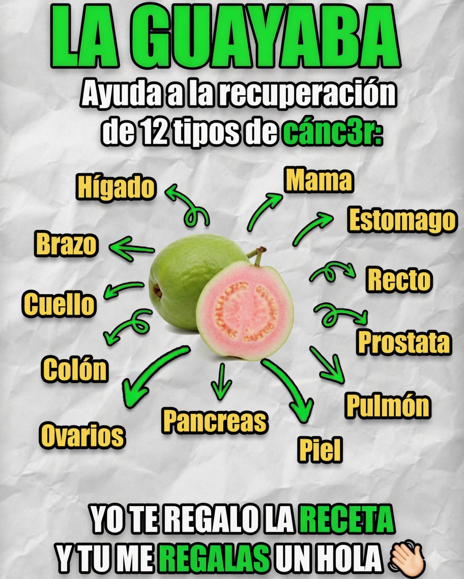 Hoja de guayaba
