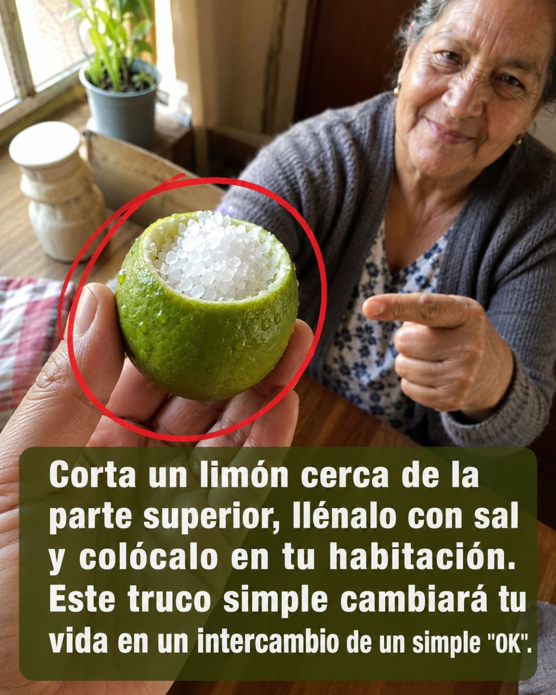 Limón y Sal