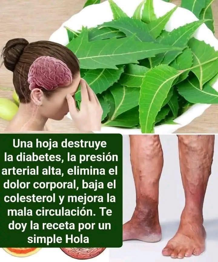 Hojas de neem en un tazón
