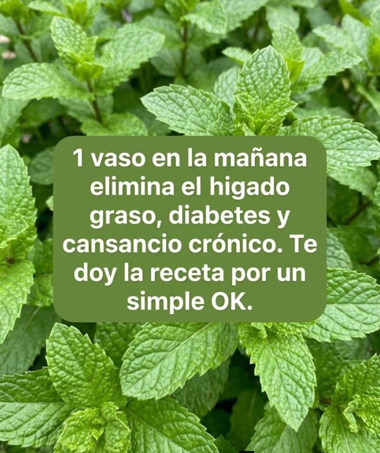 Infusión de Hierbabuena con Limón
