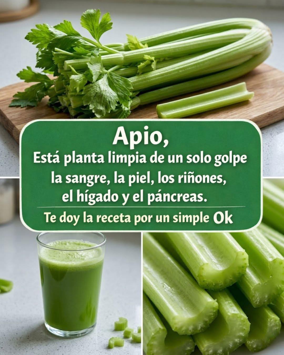 Jugo de apio fresco