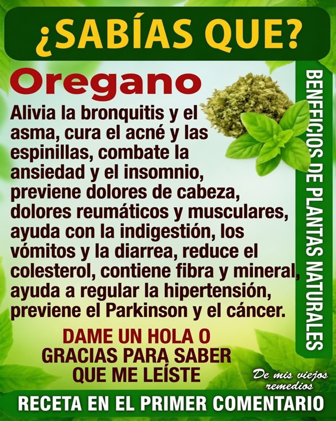 Beneficios del orégano