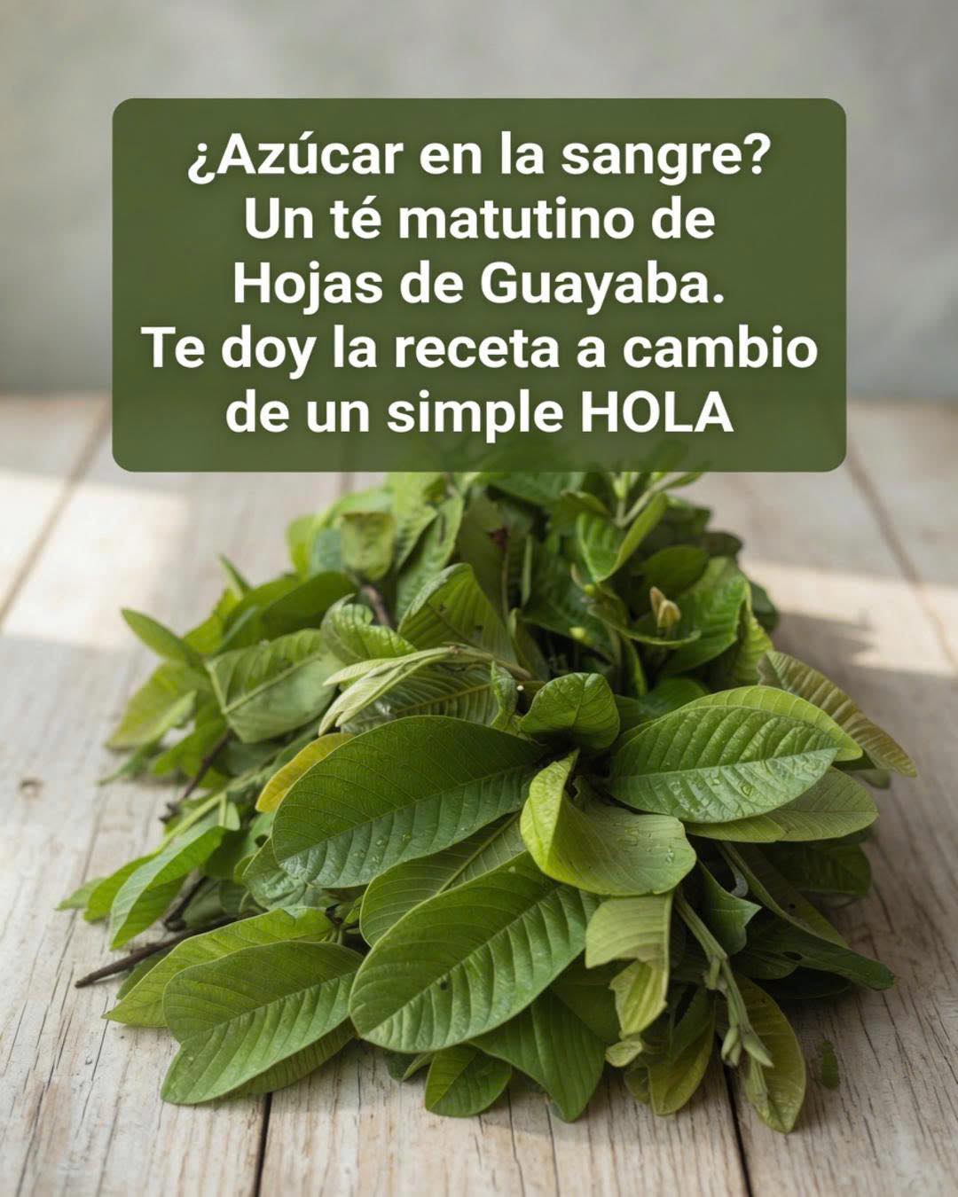 Hojas de guayaba sobre superficie de madera