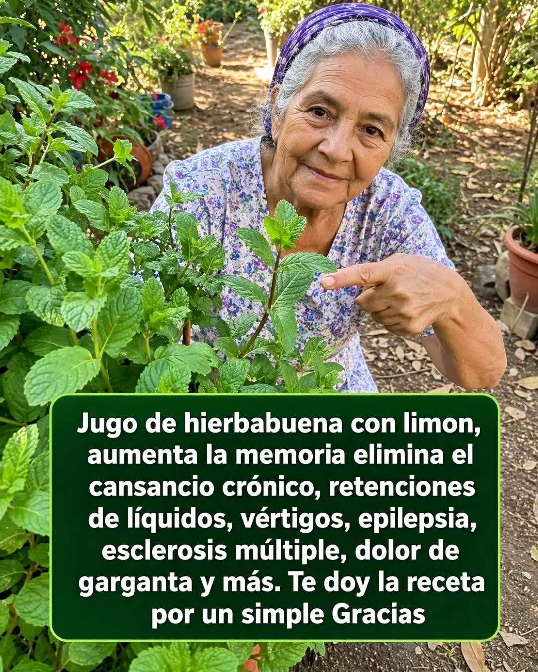 Jugo de hierbabuena con limón