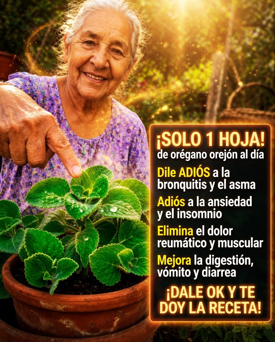 Orégano Orejón