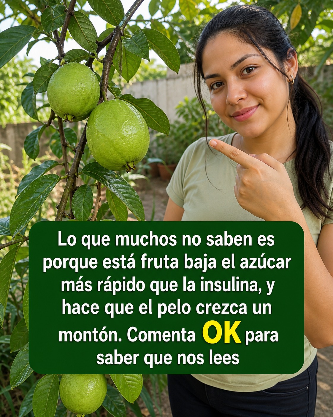 Guayabas en el árbol