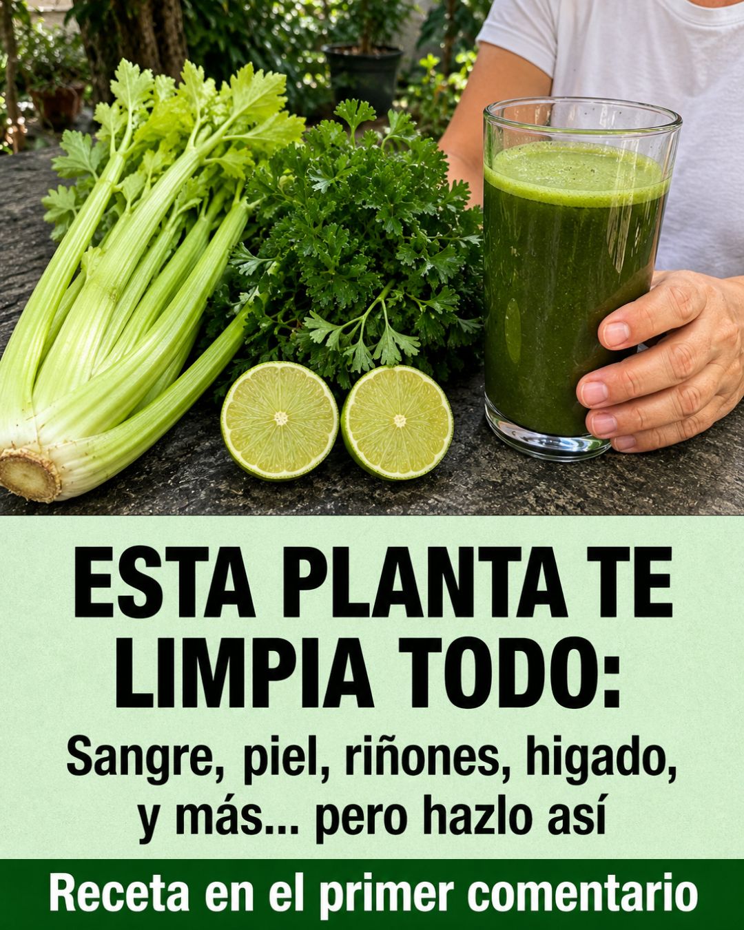 Ingredientes para el jugo de apio