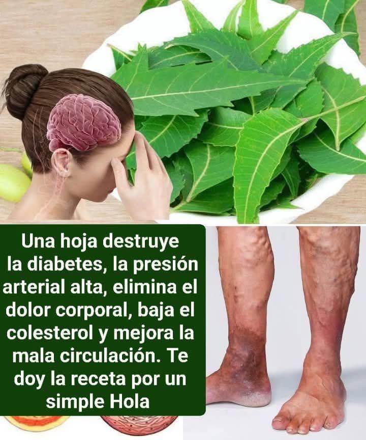 Hoja milagrosa neem