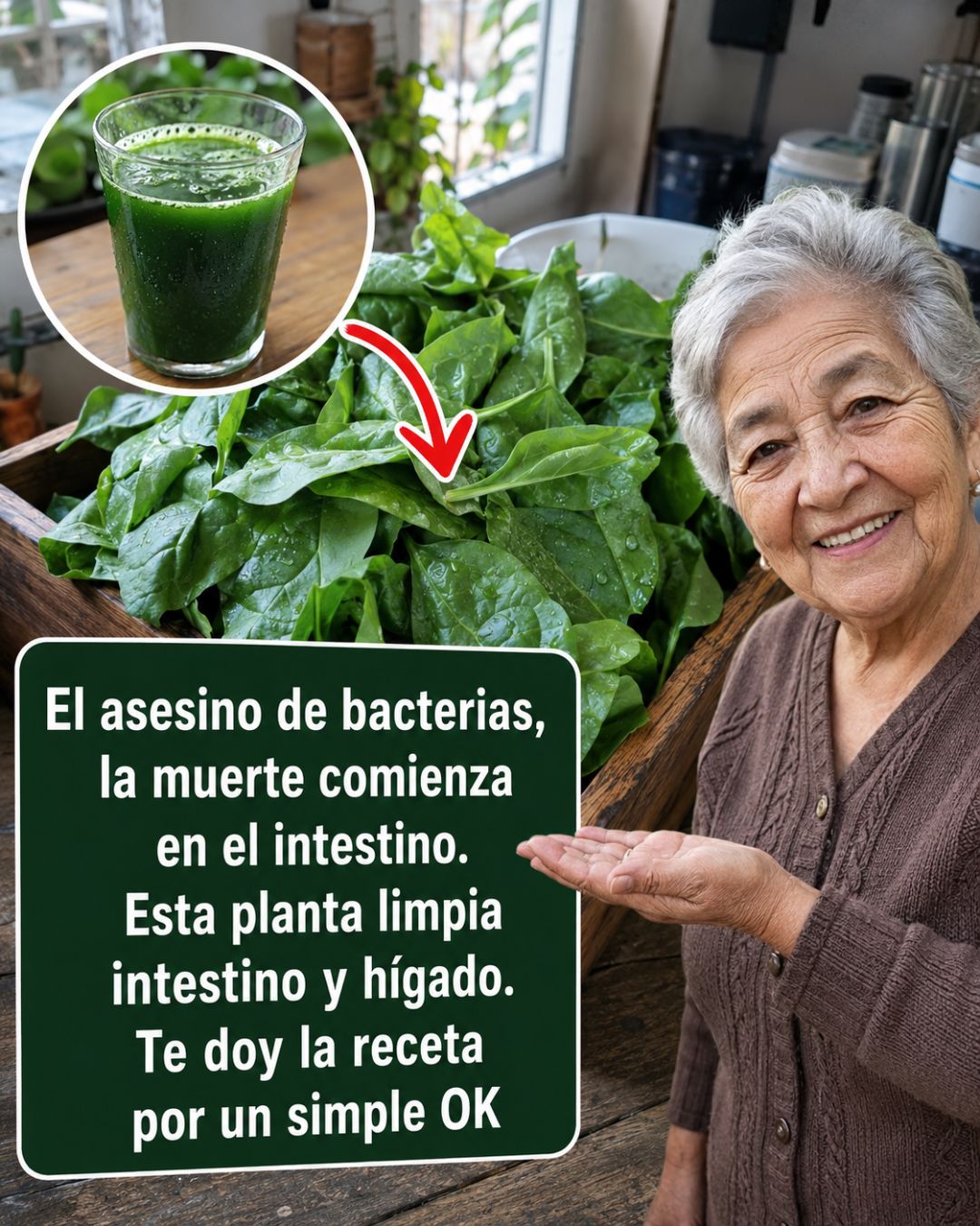 Imagen de espinaca fresca