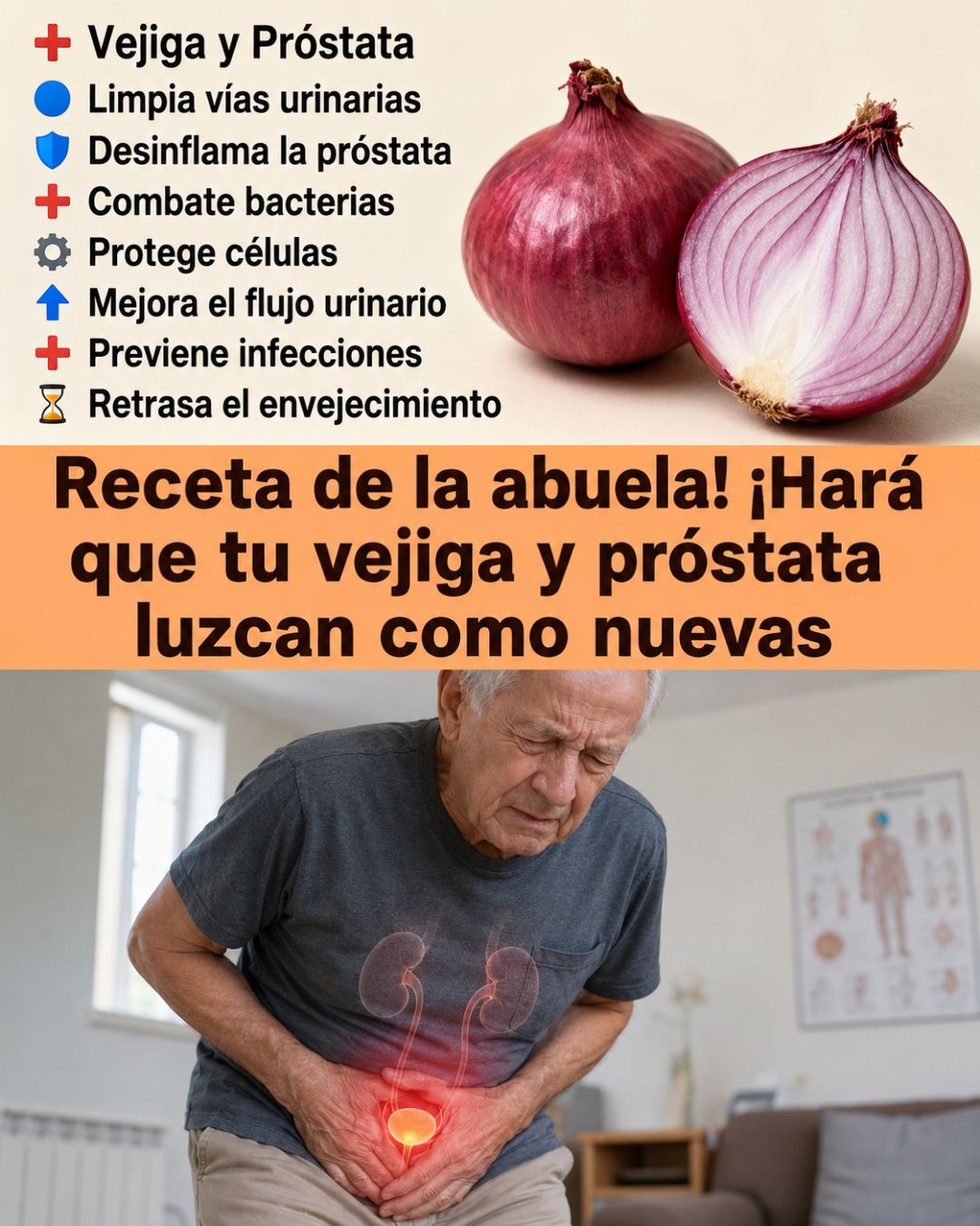 Cebolla y sus beneficios