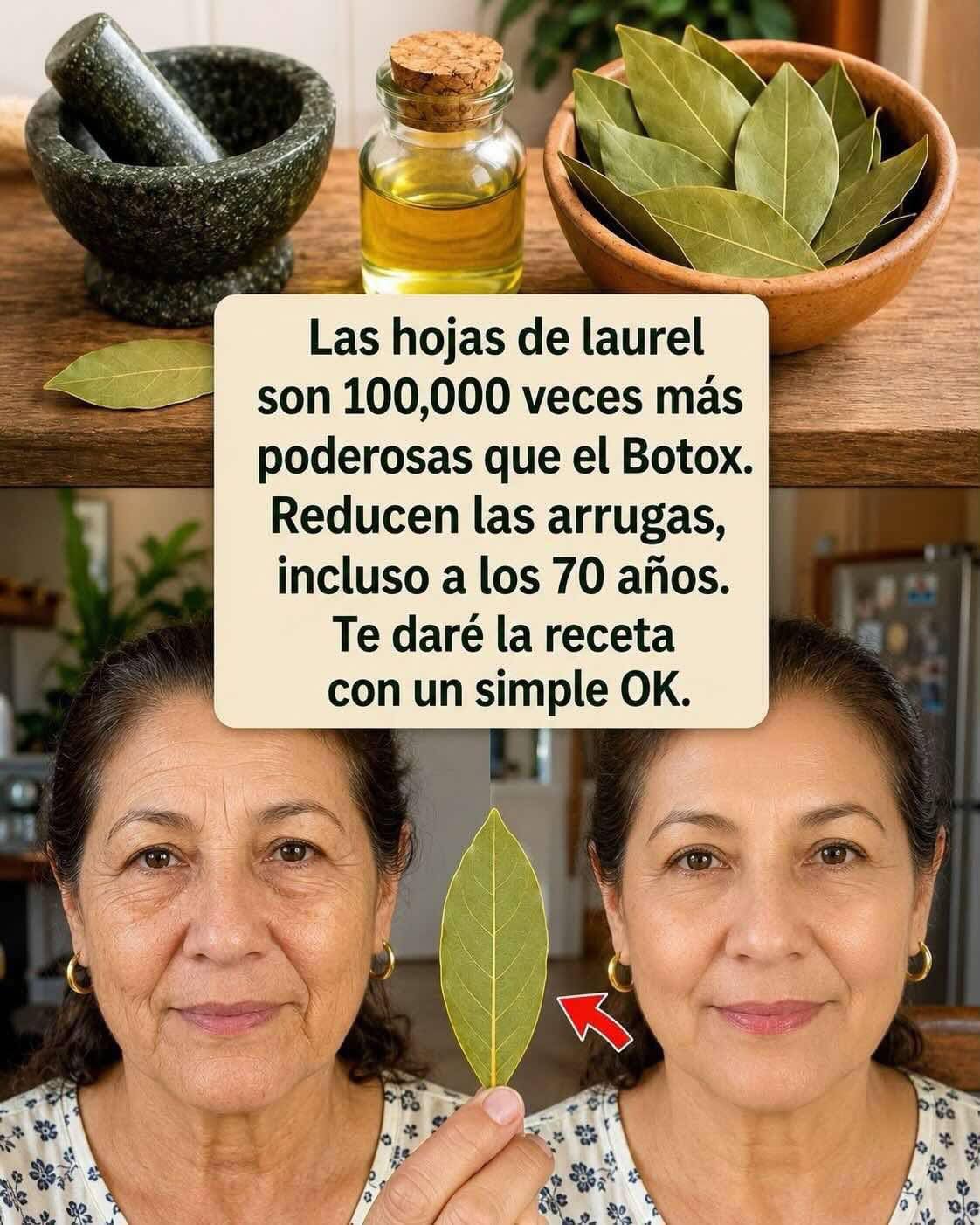 Hojas de Laurel