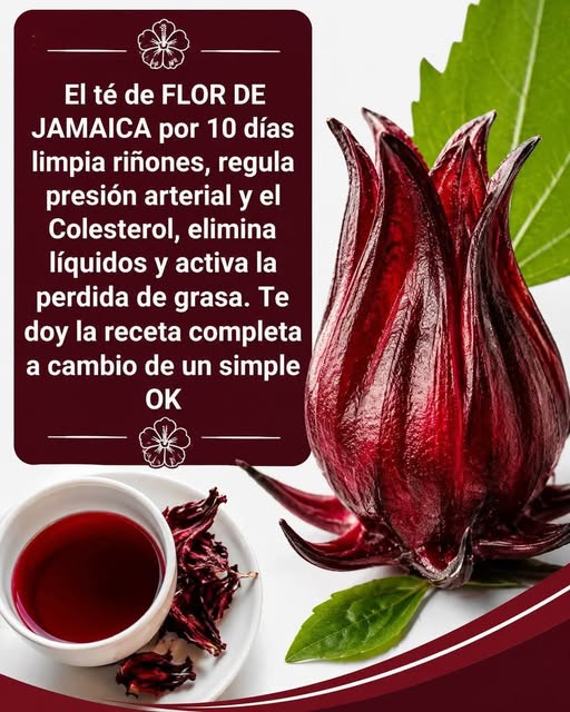 Té de Jamaica