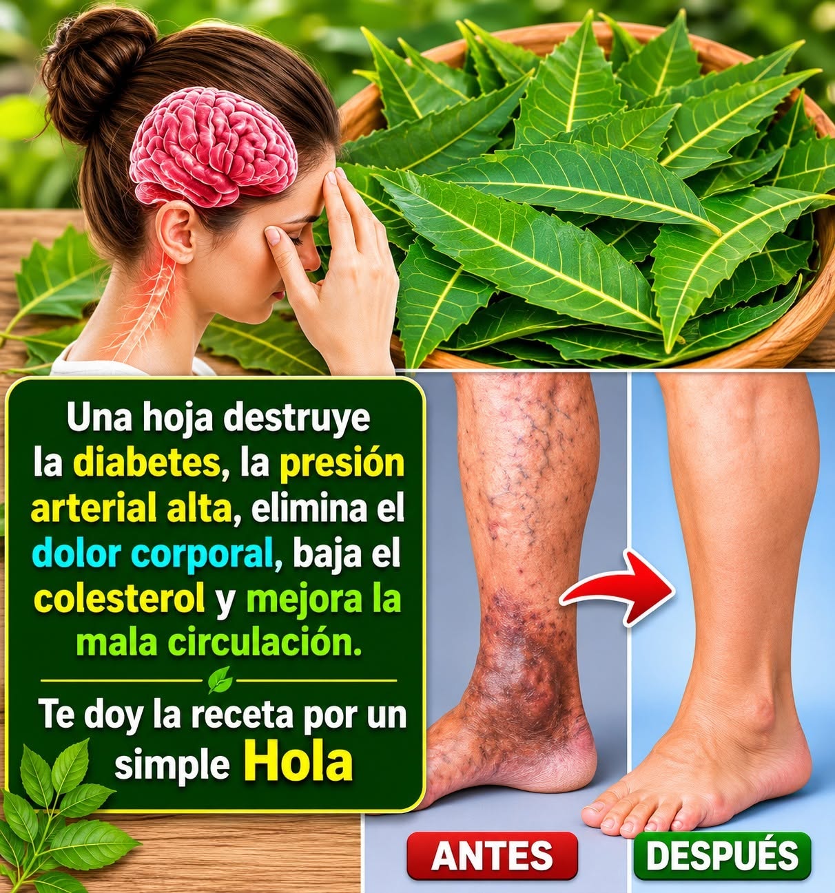 Hojas de neem