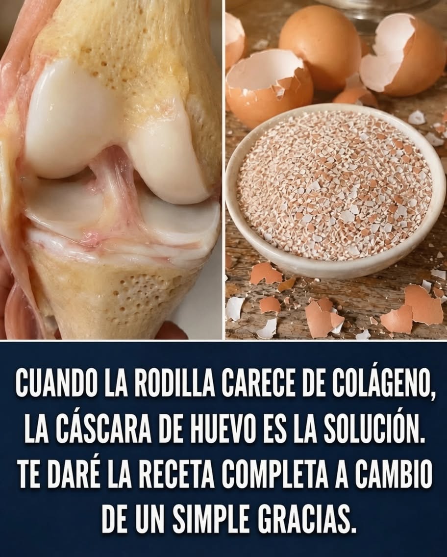 Cáscaras de huevo como solución para la salud de las rodillas
