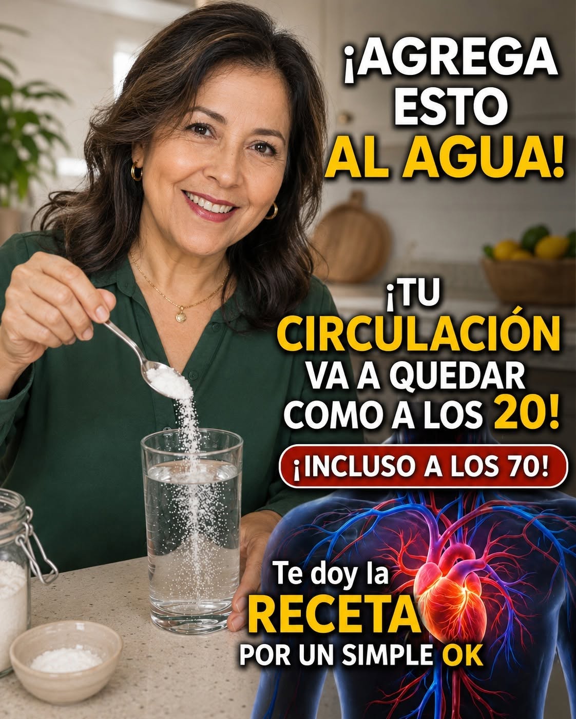 Ilustración del sistema circulatorio