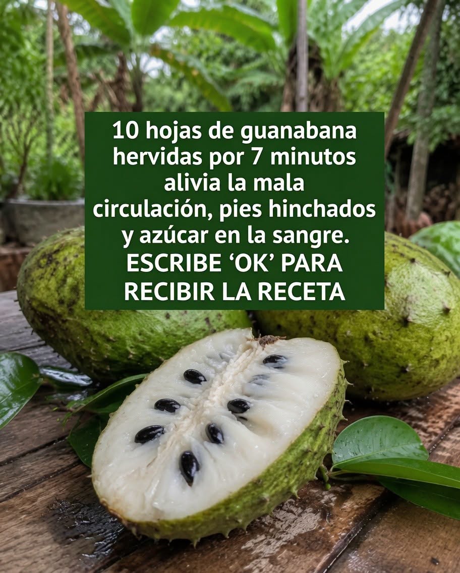 Hojas de guanábana