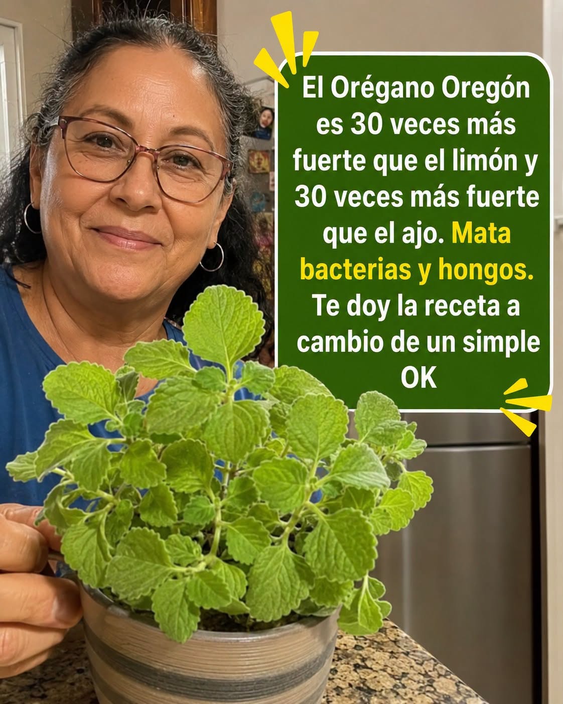 Planta de orégano