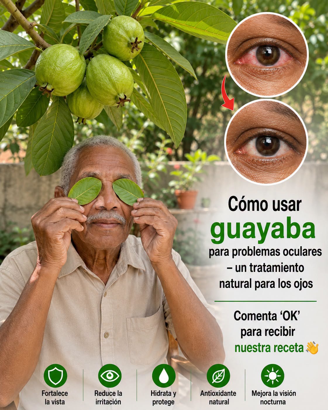 Guayaba y problemas oculares