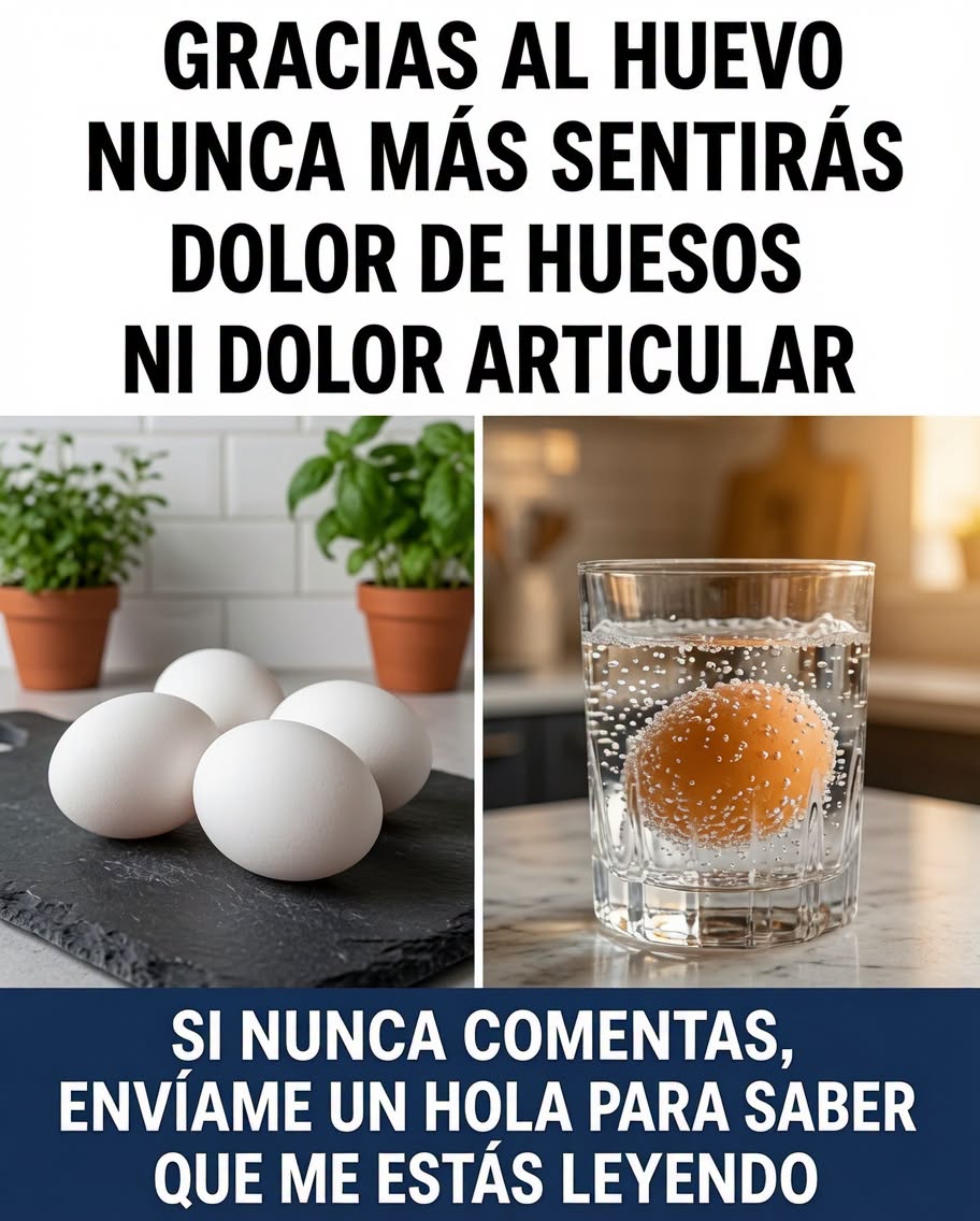 Huevos frescos