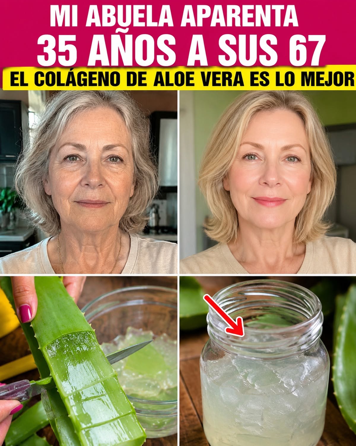 Aloe Vera