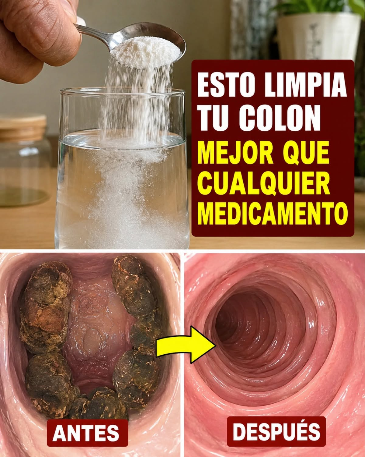 Limpieza del colon de forma natural