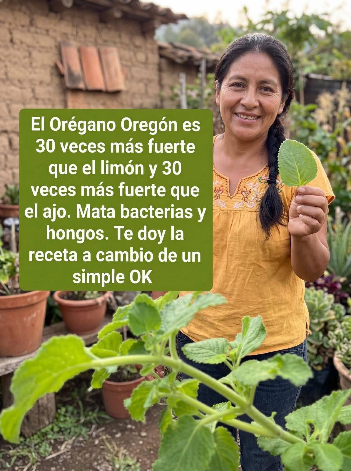 Infusión de Ajo y Orégano