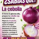 Los beneficios de la cebolla morada