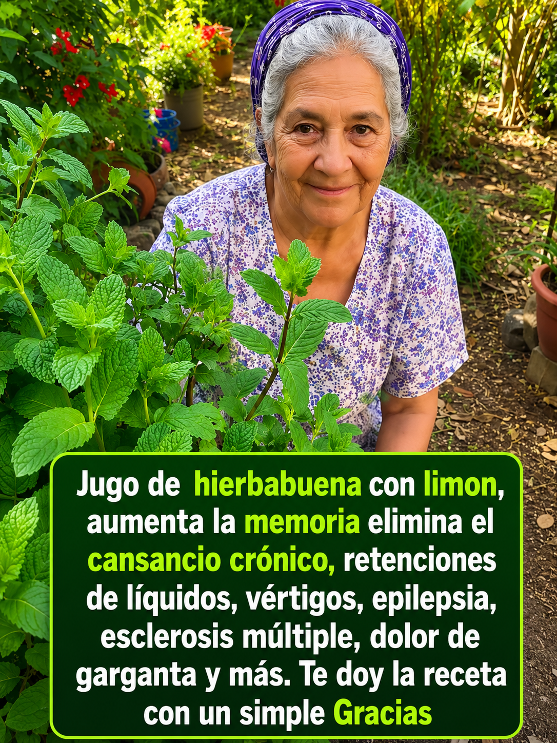 Hierbabuena fresca