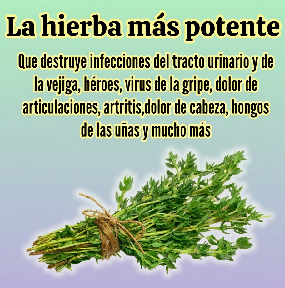 Hierbas medicinales