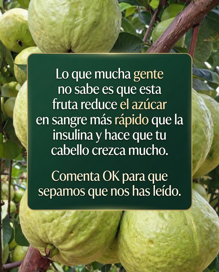 Guayabas