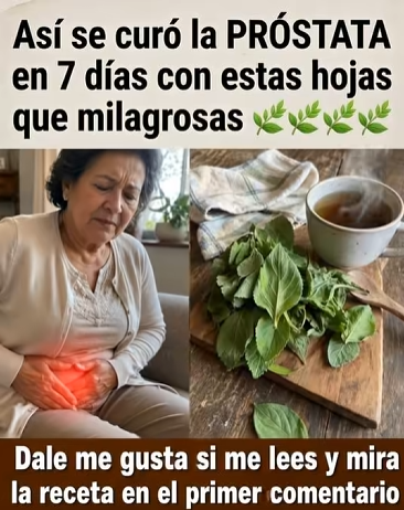Té de ortiga
