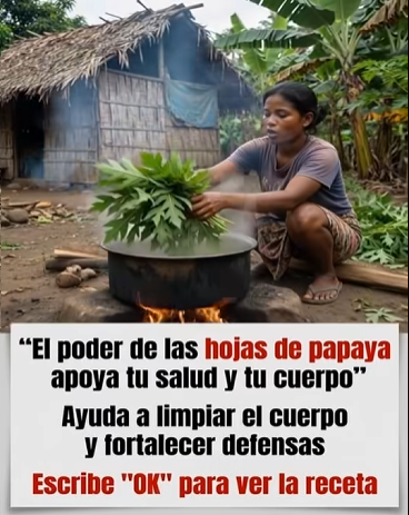 Cocinando hojas de papaya