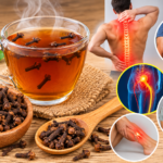 El clavo de olor y sus posibles beneficios para el bienestar muscular y articular