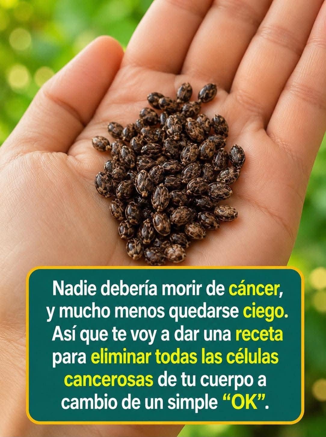 Semillas de Chía