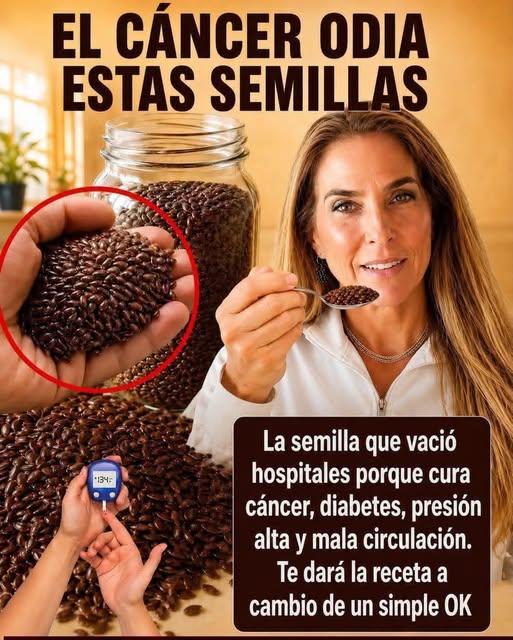 Semillas de linaza