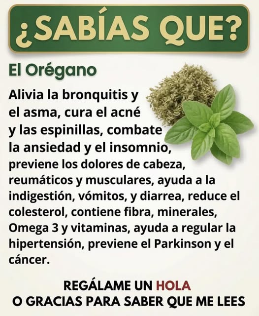 Infografía sobre beneficios del orégano