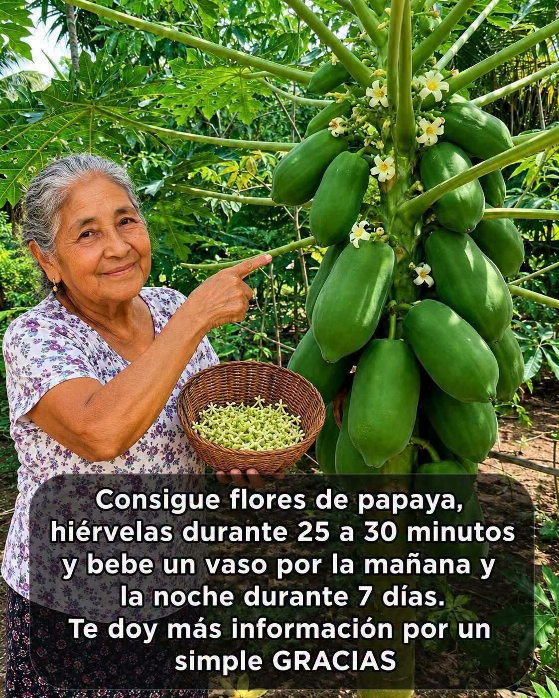 Semillas de papaya