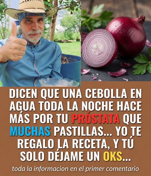 Cebolla en agua