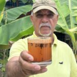 Bebida natural con clavo de olor, cúrcuma y miel: una opción para apoyar la energía y el bienestar