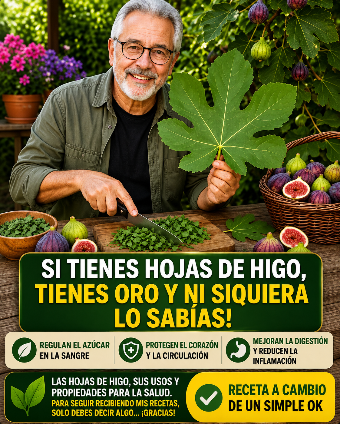 Hojas de higo