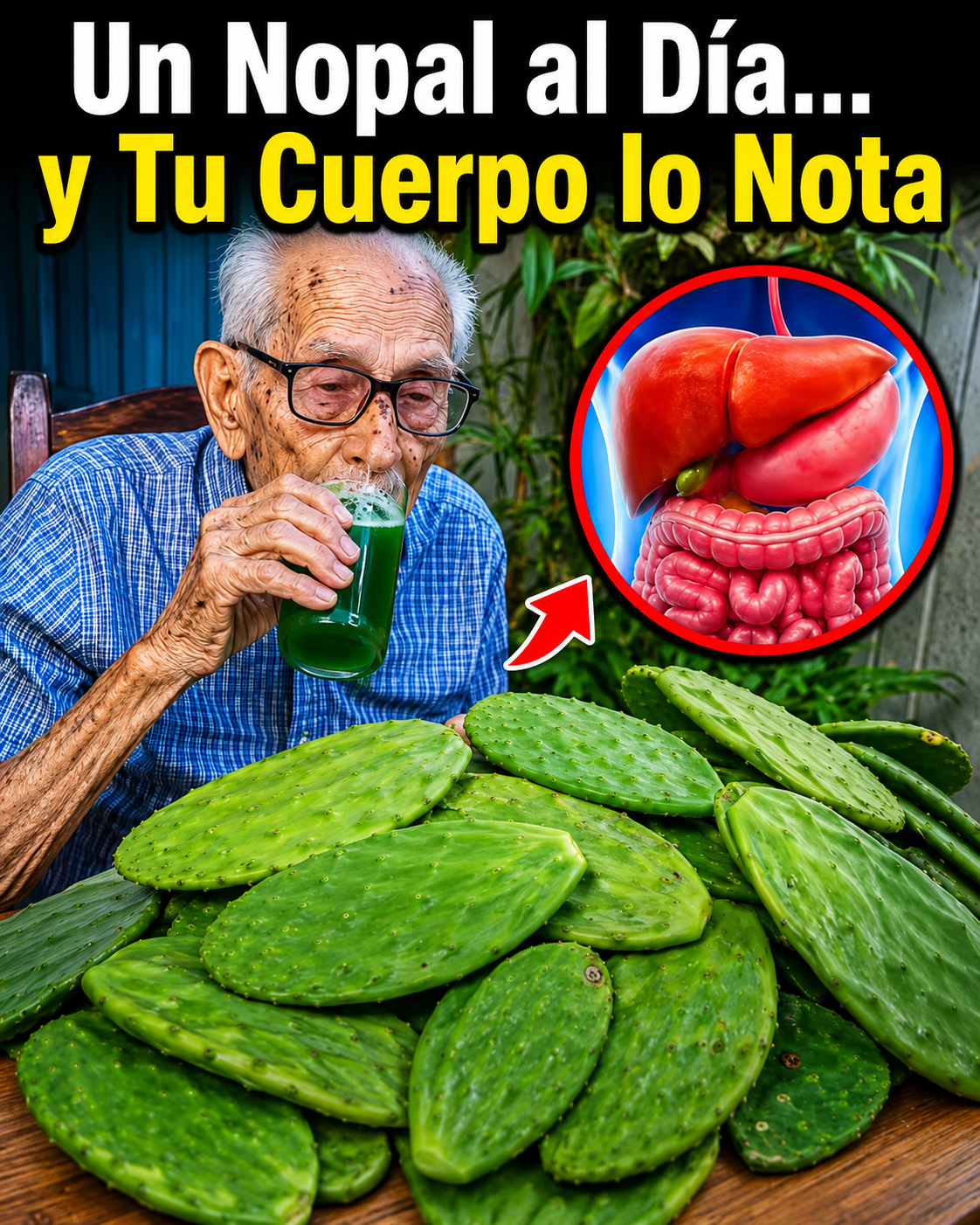 Bebida de Nopal